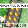 Grosse Pilule De Pénis cialis1